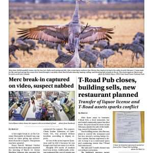 Crestone Eagle: April 2025 Download